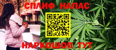 стафф Гусев